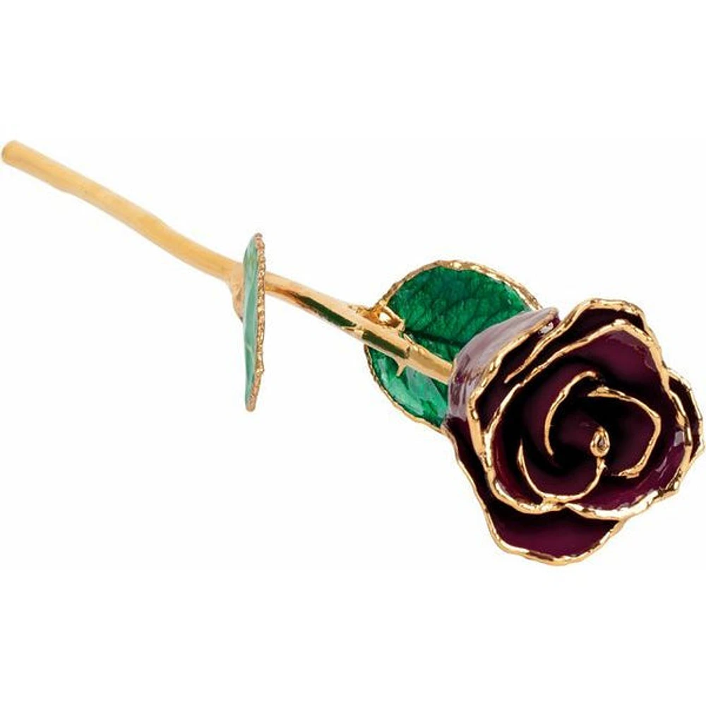 24K Gold Dipped Lacquered Burgundy Genuine Rose