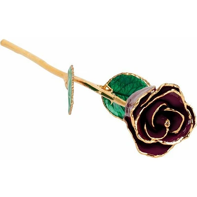 24K Gold Dipped Lacquered Burgundy Genuine Rose