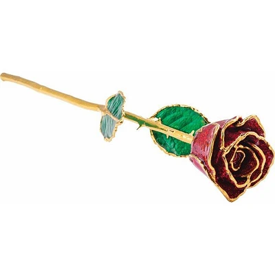24K Gold Dipped Lacquered Ruby Sparkle Genuine Rose
