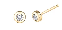 10K Yellow Gold Canadian Diamond Earrings