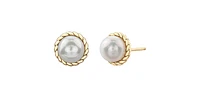 10K Yellow Gold 6mm Cultured Pearl Stud Earrings