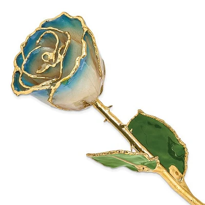 White & Navy Blue Pearl Lacquer Dipped Gold Trimmed Real Rose