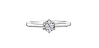 10K  White Gold 0.30cttw Diamond Engagement Ring - /