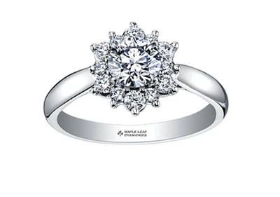 18K White Gold/Palladium Alloy (hypoallergenic) 0.60-1.66cttw Round Brilliant Flower Halo Diamond Ring - Gold / 0.60 Carat Total