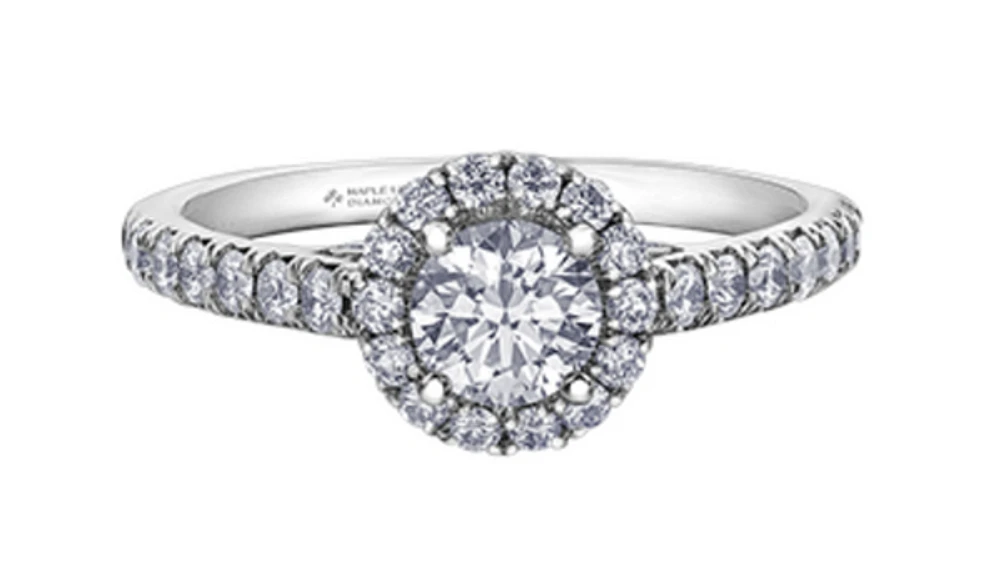 18K White Gold/Palladium Alloy (hypoallergenic) 1.00cttw Round Brilliant Halo Diamond Ring - Gold /