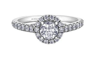 18K White Gold/Palladium Alloy (hypoallergenic) 1.00cttw Round Brilliant Halo Diamond Ring - Gold /