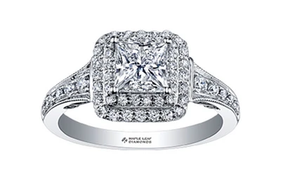 18K White Gold/Palladium Alloy (hypoallergenic) 0.65-1.50cttw Princess Shape Double Halo Diamond Ring - / Carat Total 5