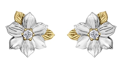 14K White and Yellow Gold 0.12cttw British Columbia Provincial Flower Diamond Stud Earrings