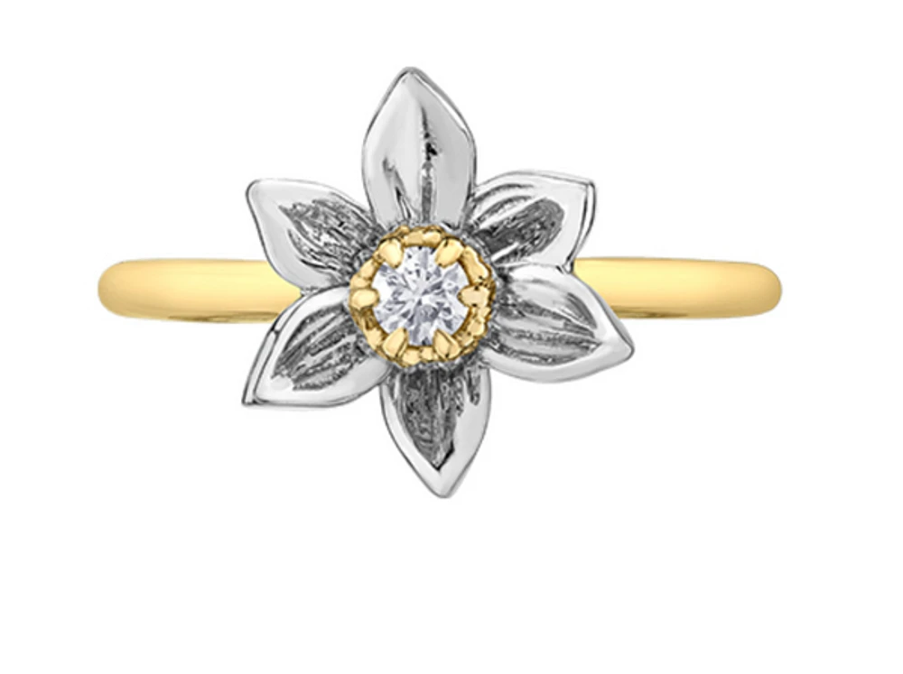 14K Yellow & White Gold 0.10cttw Manitoba Provincial Flower Diamond Ring, size 6.5