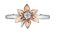 14K Rose & White Gold 0.10cttw Saskatchewan Provincial Flower Diamond Ring, size 6.5