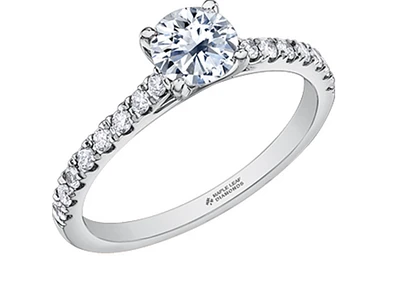 18K Yellow Gold & Palladium Alloy (hypoallergenic) 0.55-0.95cttw Canadian Diamond Engagement Ring - / Carat Total