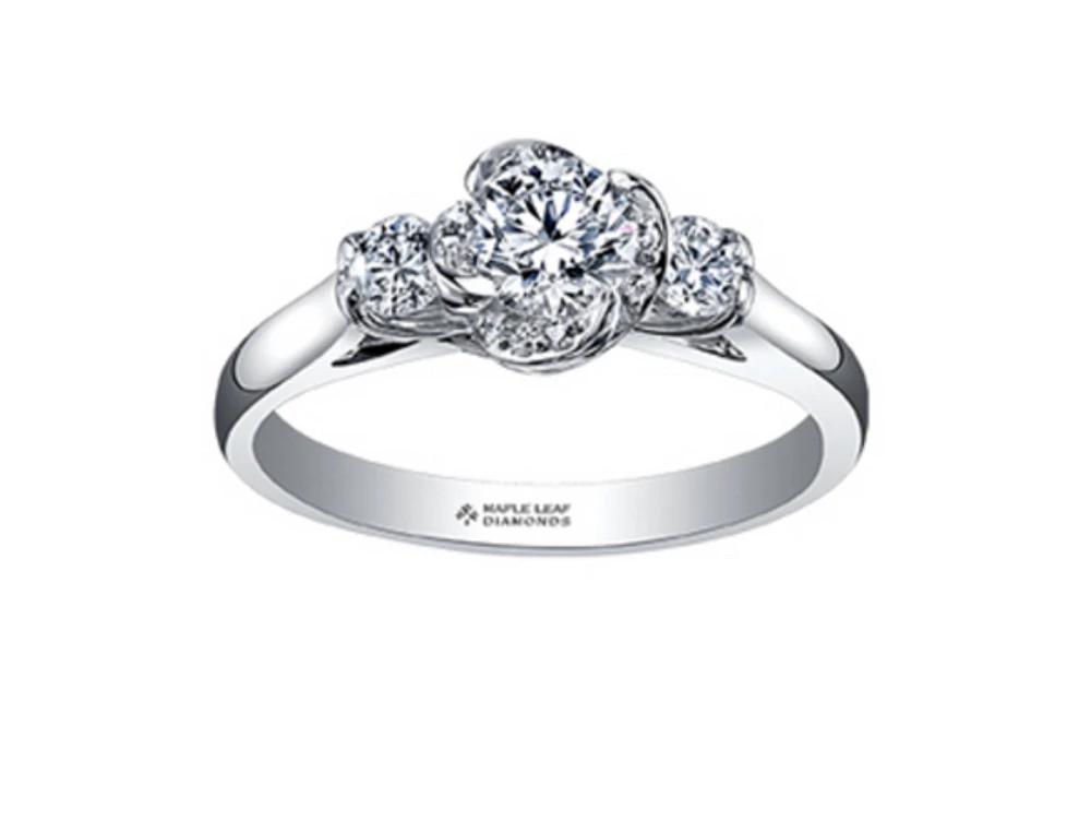 18K White Gold Palladium Alloy (hypoallergenic) 0.50-0.80cttw Round Brilliant 3 Stone Canadian Diamond Engagement Ring - / 0.50 Carat Total