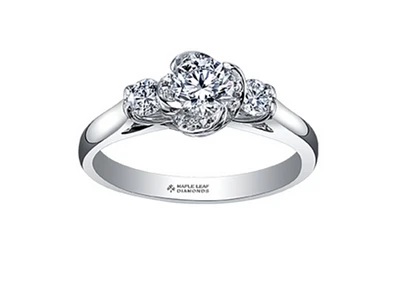 18K White Gold Palladium Alloy (hypoallergenic) 0.50-0.80cttw Round Brilliant 3 Stone Canadian Diamond Engagement Ring - / 0.50 Carat Total