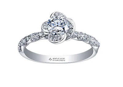 18K White Gold Palladium Alloy (hypoallergenic) 0.51-0.95cttw Round Brilliant Canadian Diamond Engagement Ring - / 0.51 Carat Total