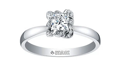 18K White Gold Palladium Alloy (hypoallergenic) 0.33-1.08cttw Princess Cut Canadian Diamond Engagement Ring - / 0.33 Carat Total