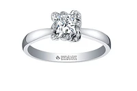 18K White Gold Palladium Alloy (hypoallergenic) 0.33-1.08cttw Princess Cut Canadian Diamond Engagement Ring - / 0.33 Carat Total