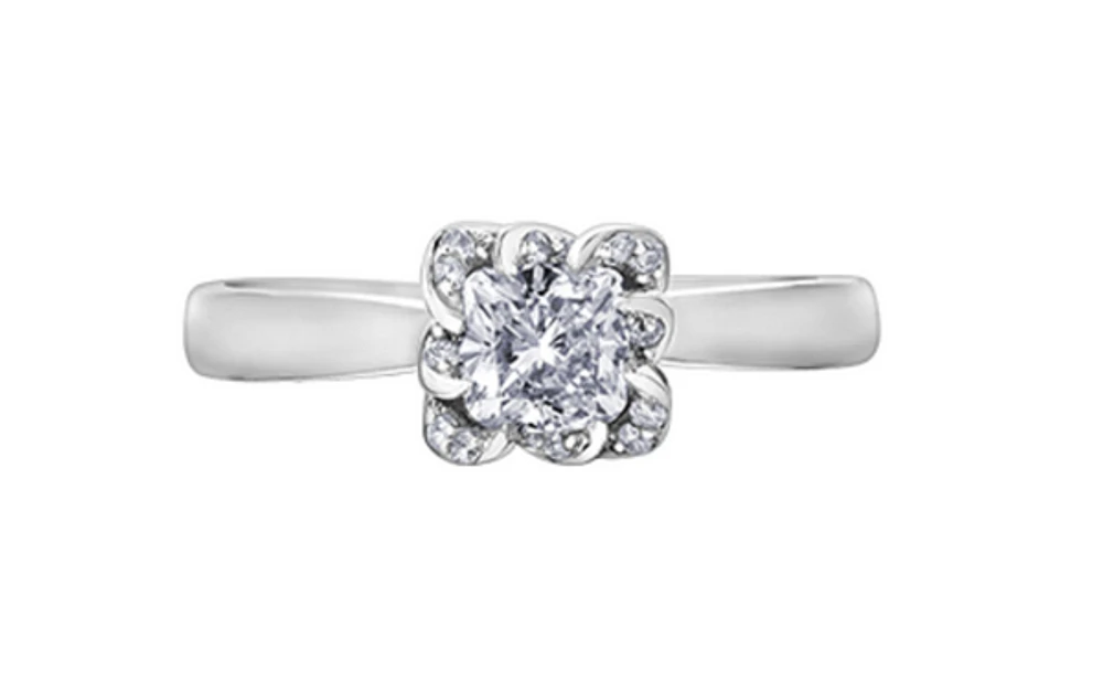 18K White Gold Palladium Alloy (hypoallergenic) 0.33-1.08cttw Cushion Cut Canadian Diamond Engagement Ring - / 0.33 Carat Total