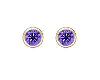 10K Yellow Gold 0.50cttw Round Brilliant Cut Amethyst Bezel Set Stud Earrings