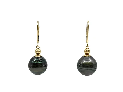 14K Yellow Gold 12mm Tahitian Pearl Earrings with Lever Backs