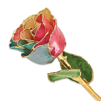 24K Lacquer Dipped Gold Trimmed Tri-color Real Rose