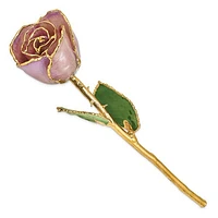24K Lacquer Dipped Gold Trimmed Lavender Real Rose