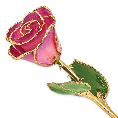 24K Lacquer Dipped Gold Trimmed Pink Picasso Real Rose