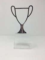 Trophy Outline with Glass Bottom