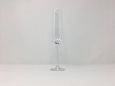 Amundsen Champagne Flute