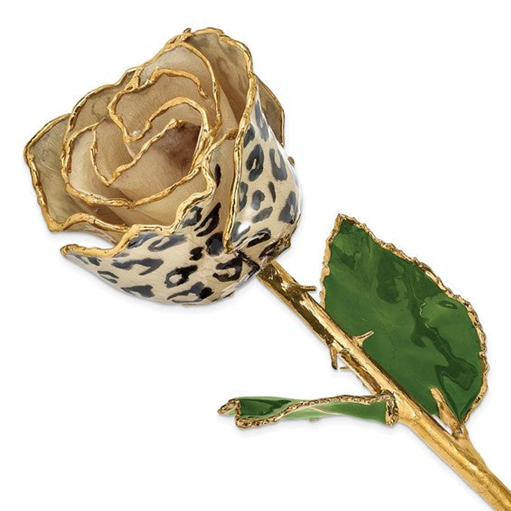 24K Lacquer Dipped 24k Gold Trimmed Cream/Black Leopard Real Rose