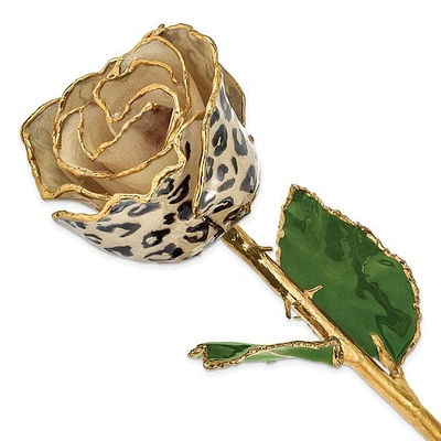 24K Lacquer Dipped 24k Gold Trimmed Cream/Black Leopard Real Rose