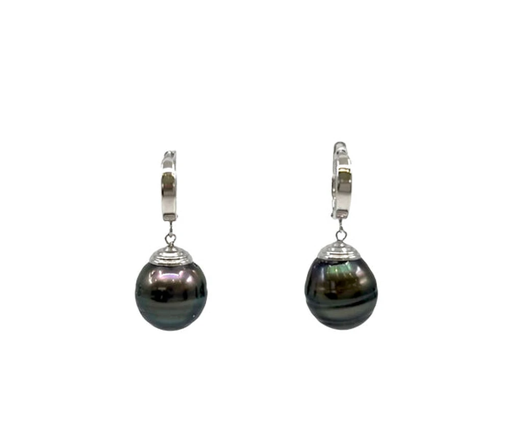 14K Gold Tahitian Pearl Dangle Earrings with Hoop Closure