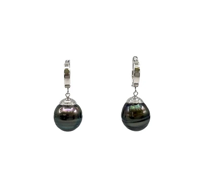 14K Gold Tahitian Pearl Dangle Earrings with Hoop Closure