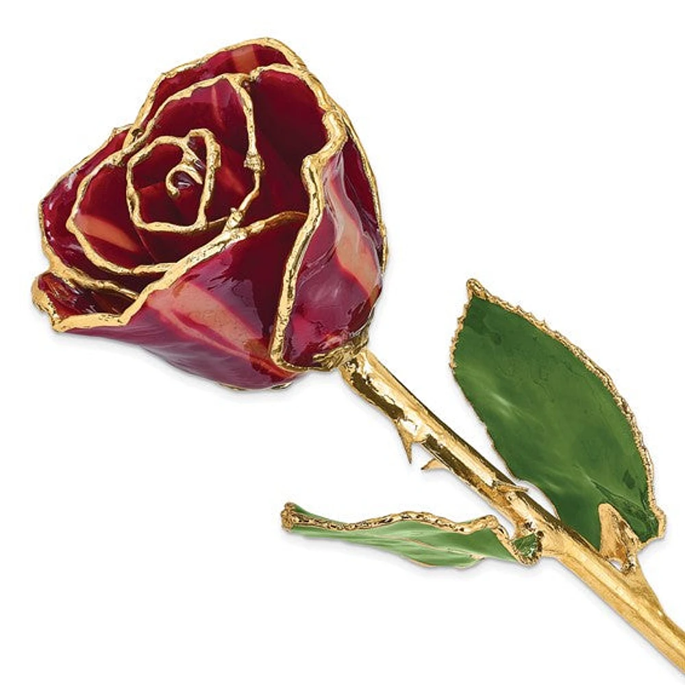 24K Lacquer Dipped Gold Trimmed Abracadabra Real Rose
