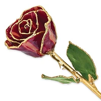 24K Lacquer Dipped Gold Trimmed Abracadabra Real Rose