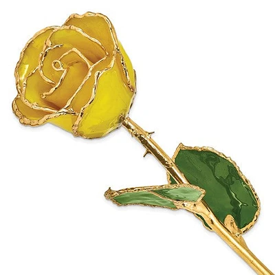 24K Lacquer Dipped Gold Trimmed Yellow Real Rose