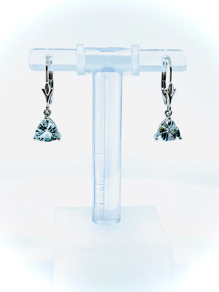 10K White Gold Aquamarine Earrings