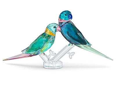 Swarovski Jungle Beats: Parakeet Couple 5577124