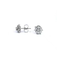 14K White Gold 0.75cttw Diamond Halo Earrings