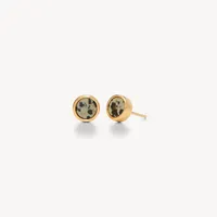 Dalmatian Jasper Bezel Stud Earrings