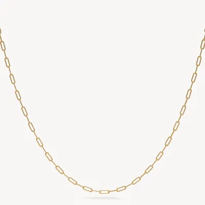 Essential Clip Chain Necklace