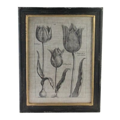 18" Botanic Beauty Decorative Vintage Style Triple Tulip Print Framed Wall Art
