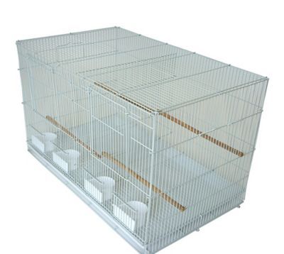 Breeding White Cages With Divider