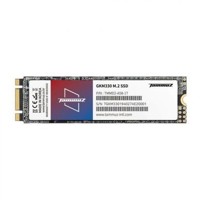 Gkm330 M.2 Ssd With Up To 500 Mb/s Read & 400mb/s Write Speed And 3 Years Warranty