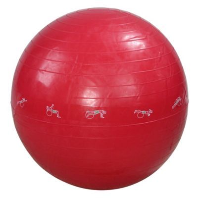 24" Red Exercise Gym Ball
