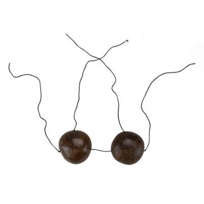 11" Brown Coconut Shell Women Adult Halloween Bra Costume Accessory - One Size