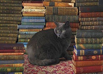 1000 Piece Puzzle (library Cat)
