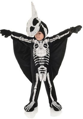 Toddler's Pterodactyl Costume