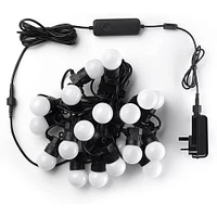 Festoon Lights - Starter Kit - Generation II | Electronic Express