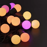 Festoon Lights - Starter Kit - Generation II | Electronic Express