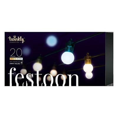 Festoon Lights - Starter Kit - Generation II | Electronic Express